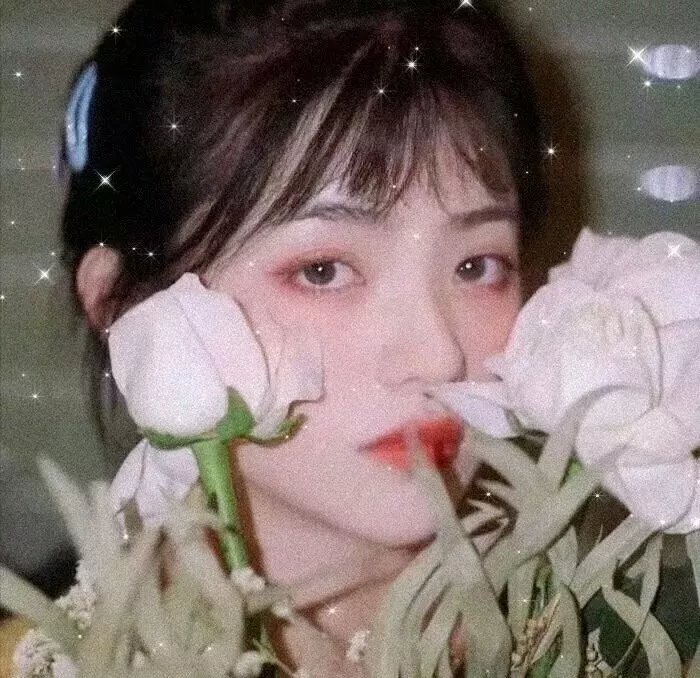 麻衣传奇